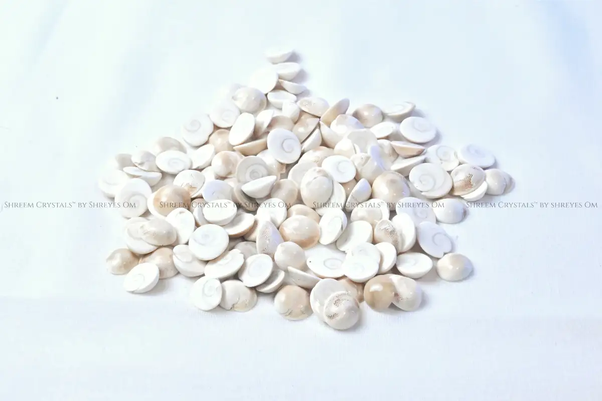 Gomati Chakra – Shreem Crystals