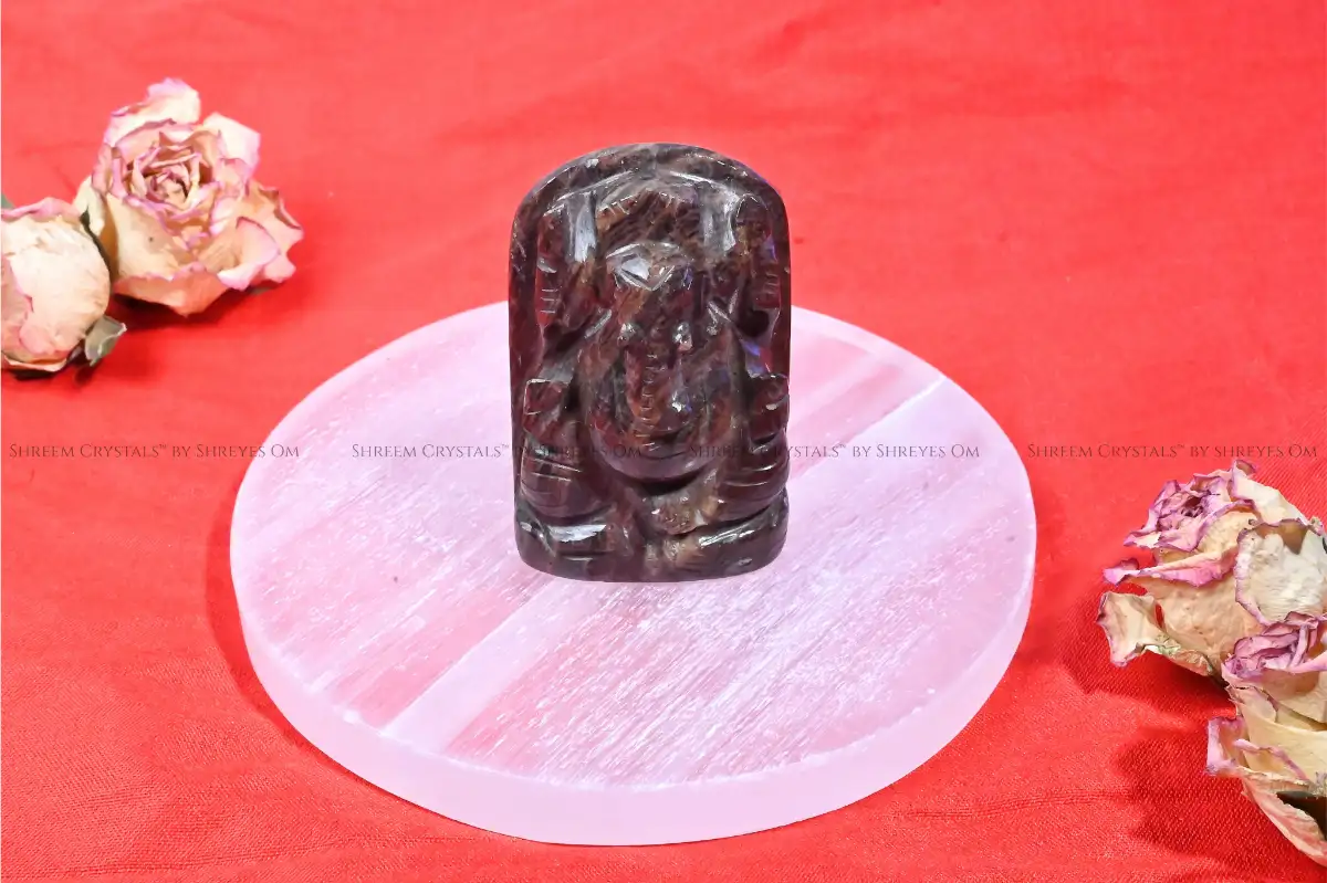 Narmadeshwar Ganesha 1