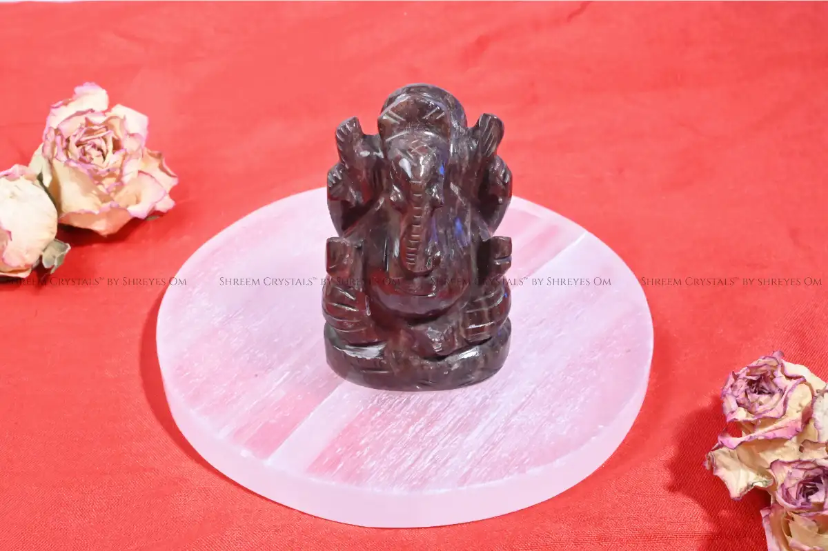 Narmadeshwar Ganesha B – Shreem Crystals