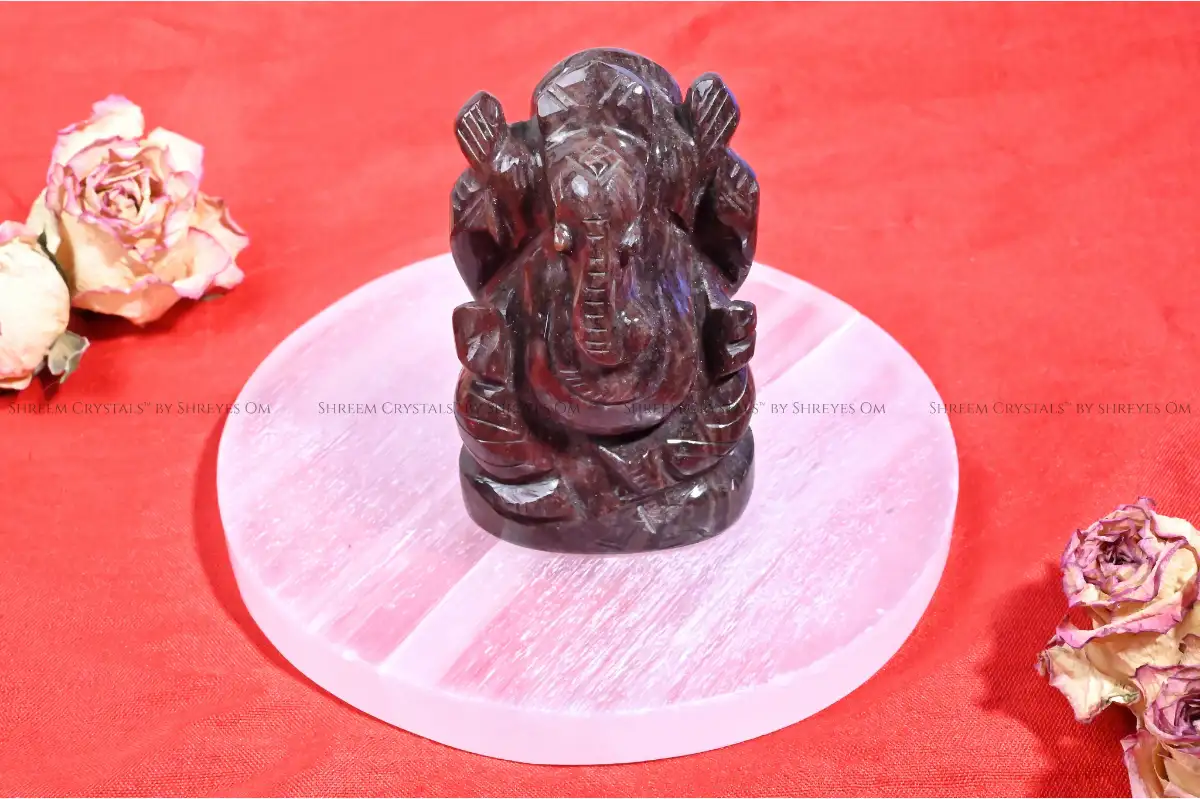 Narmadeshwar Ganesha C