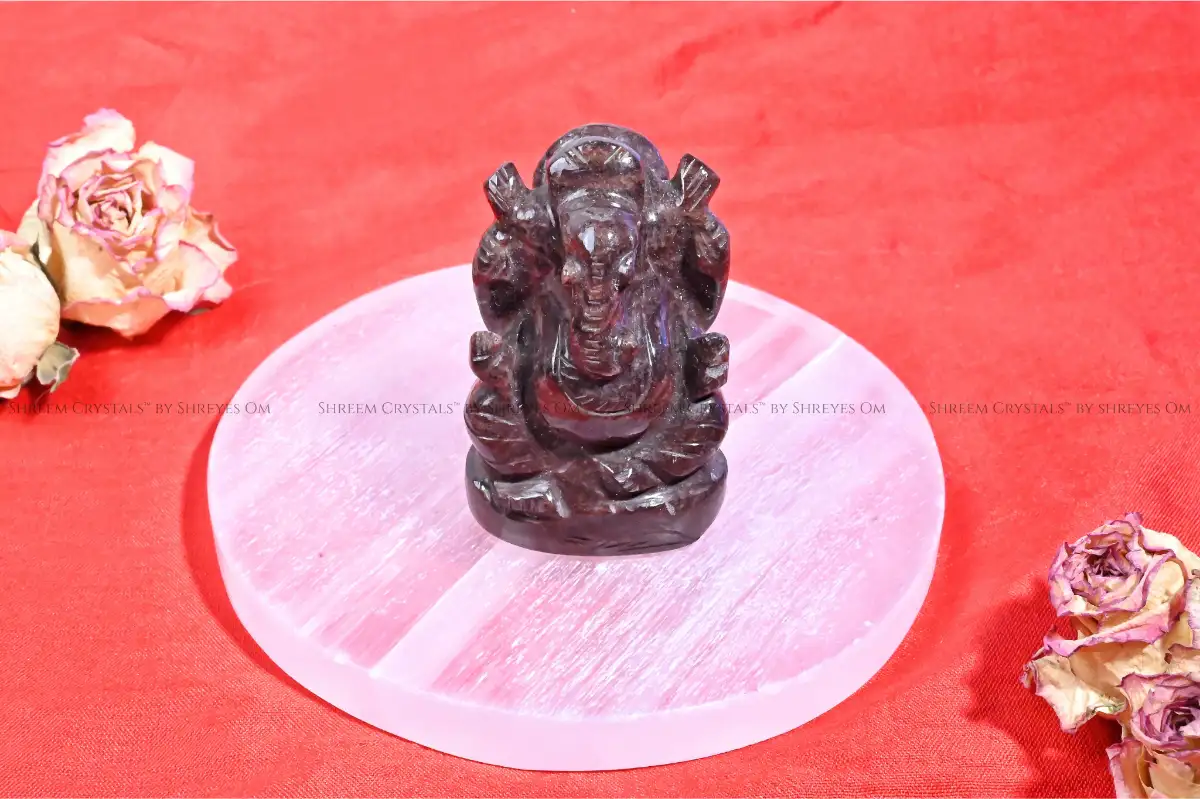 Narmadeshwar Ganesha D