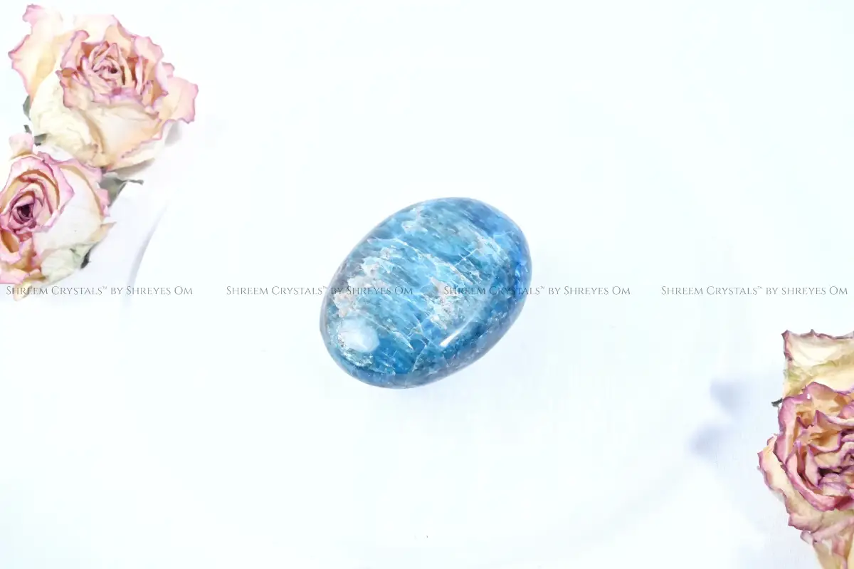 Apatite Palm Stone – Shreem Crystals