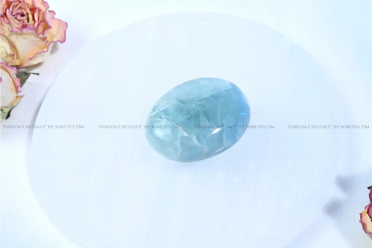 Aquamarine Palm Stone