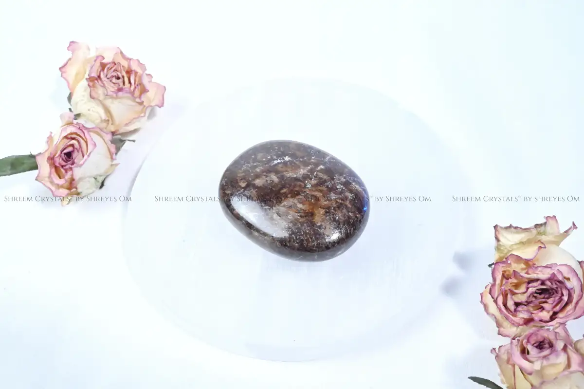 Bronzite Palm Stone