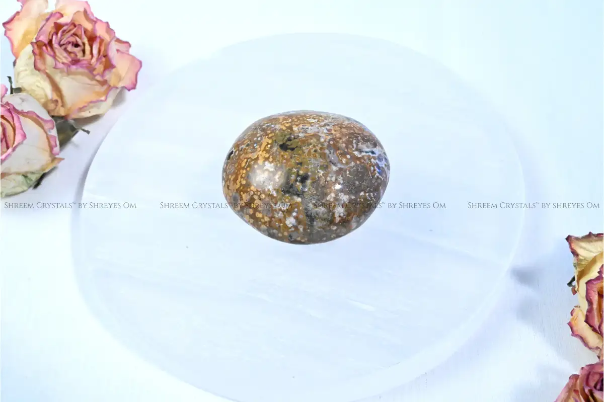 Ocean Jasper Palm Stone