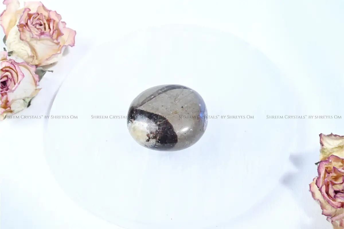 Septarian Palm Stone – Shreem Crystals