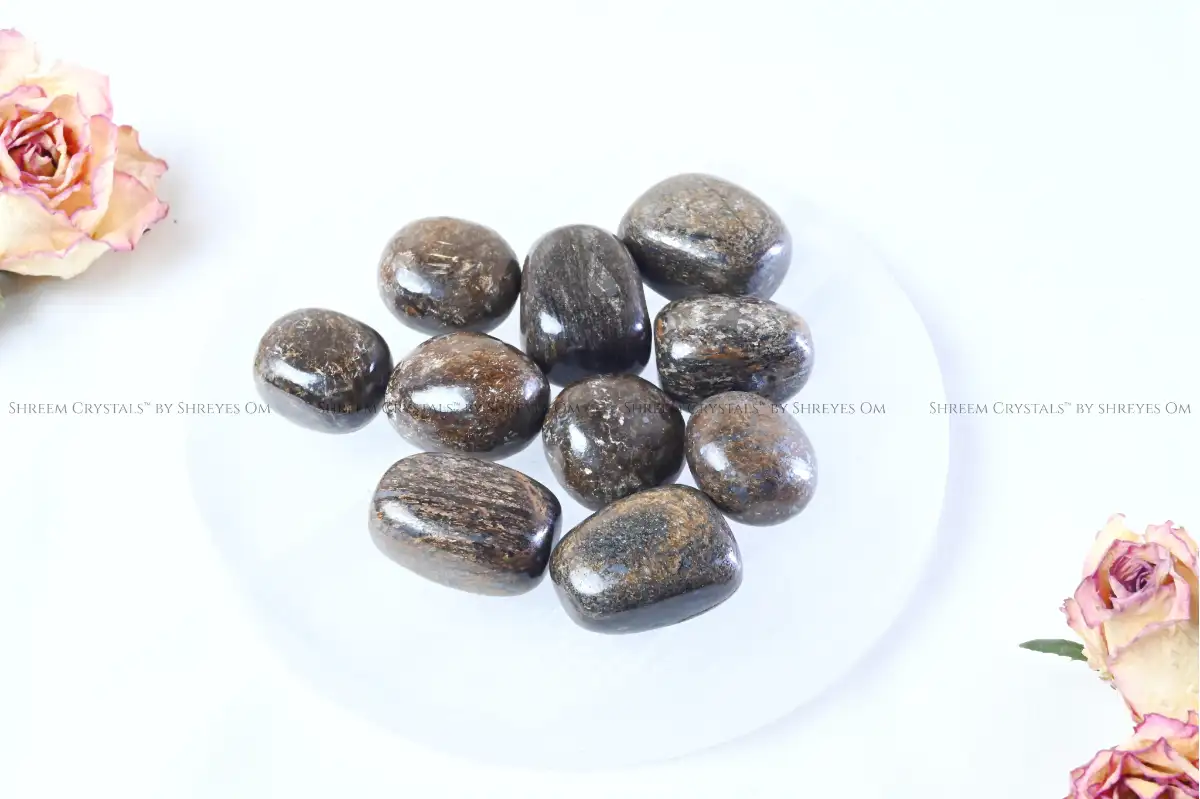 Bronzite Tumbles – Shreem Crystals