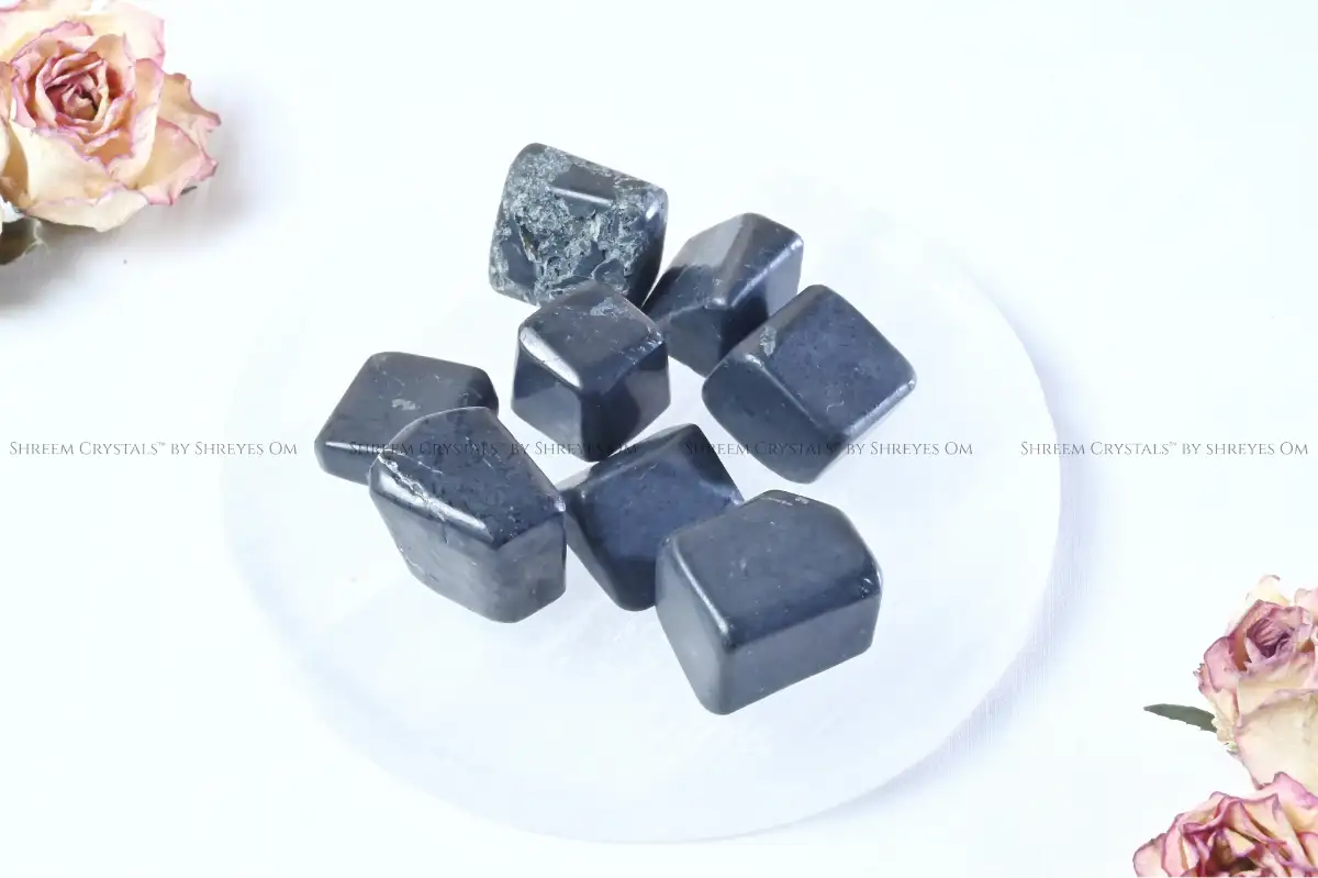 Shungite Tumbles – Shreem Crystals