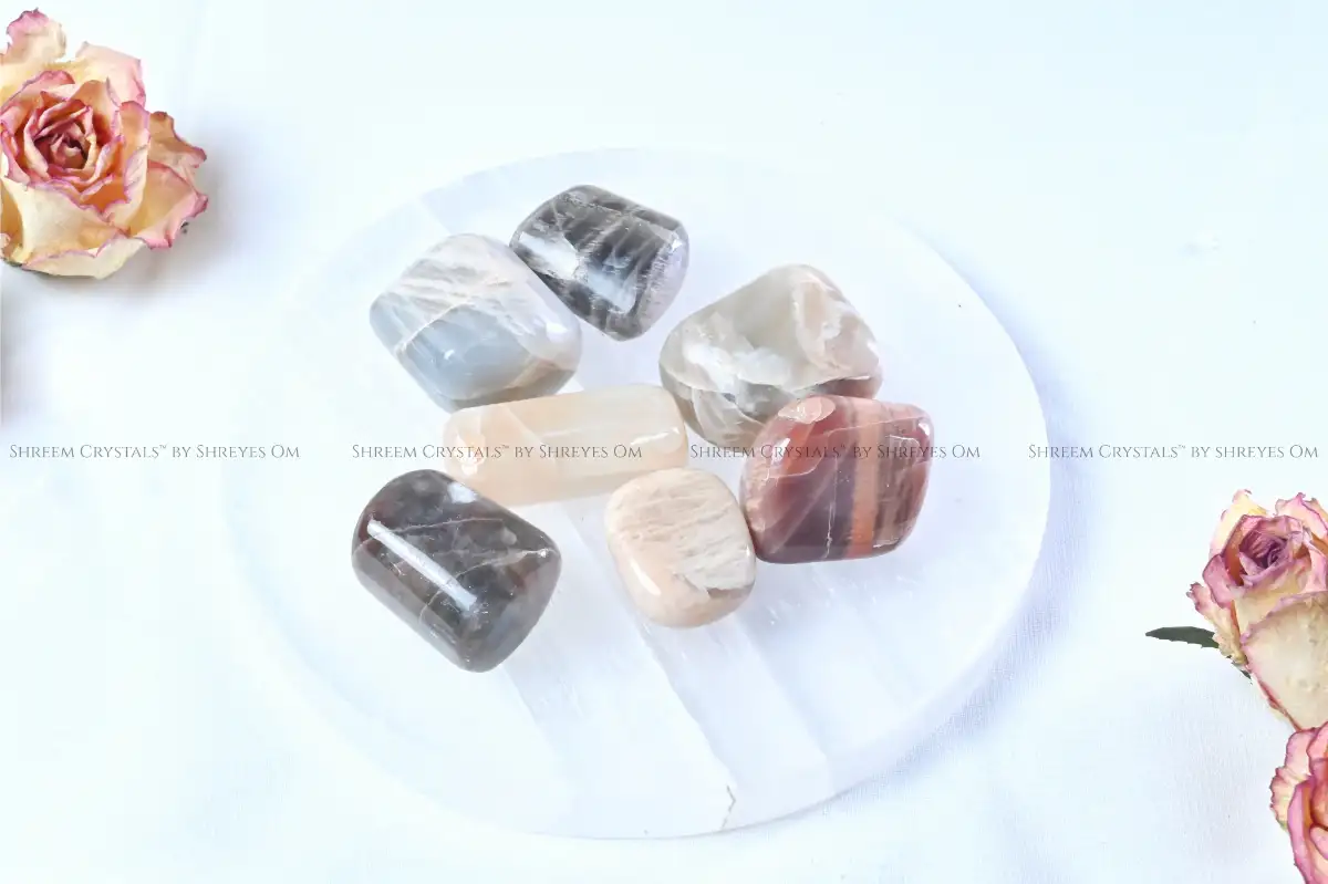 Multi Moonstone Tumbles – Shreem Crystals