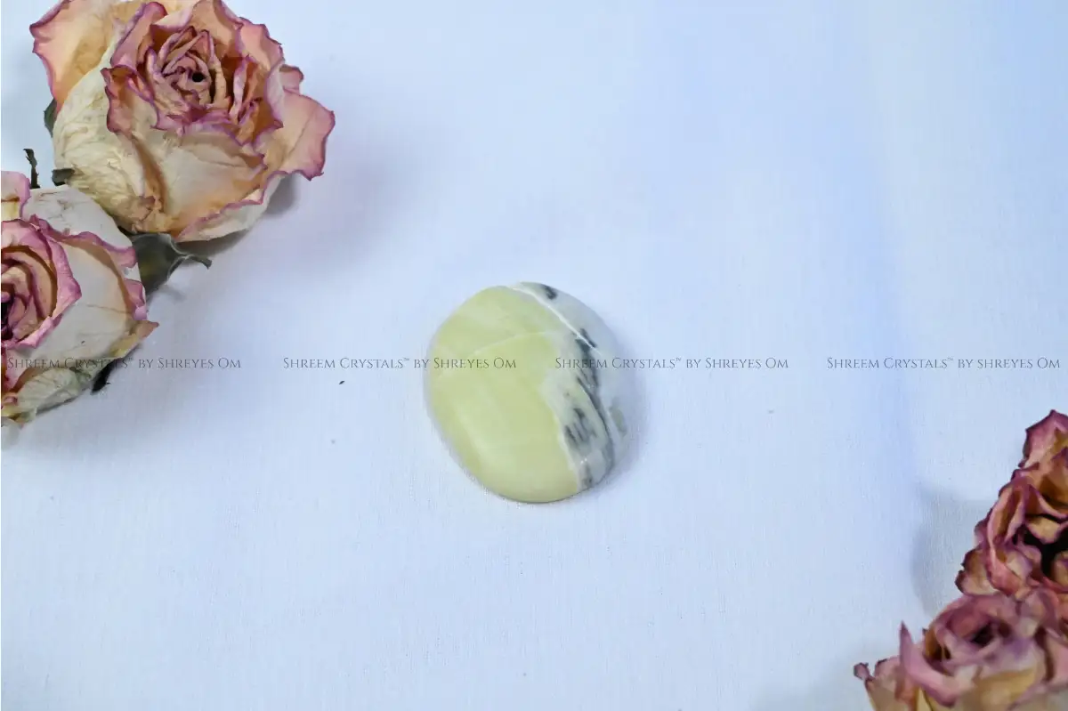 Serpentine Worry Stone 2